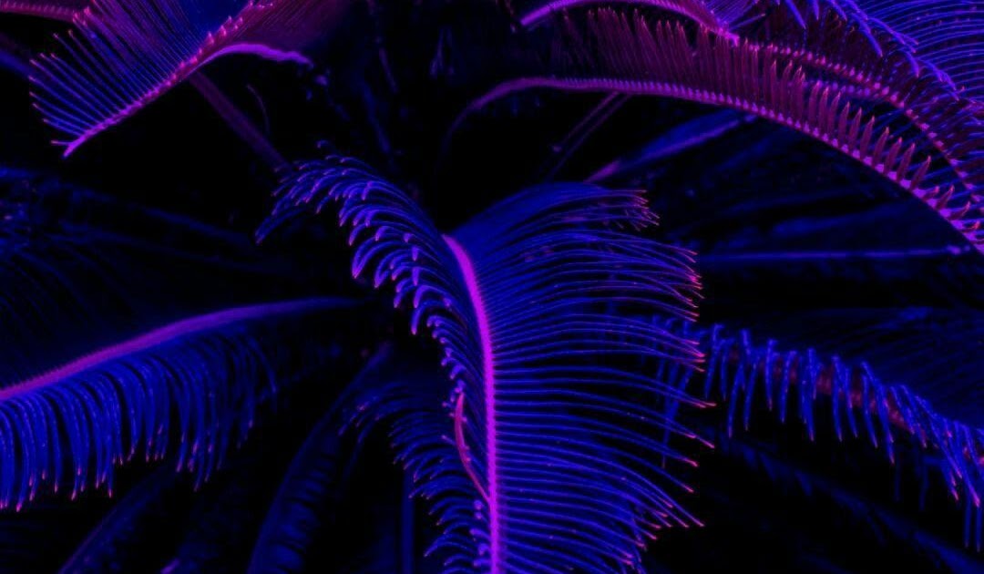Dope Purple Wallpaper - Dope Wallpapers Wallpaper Cave : Purple