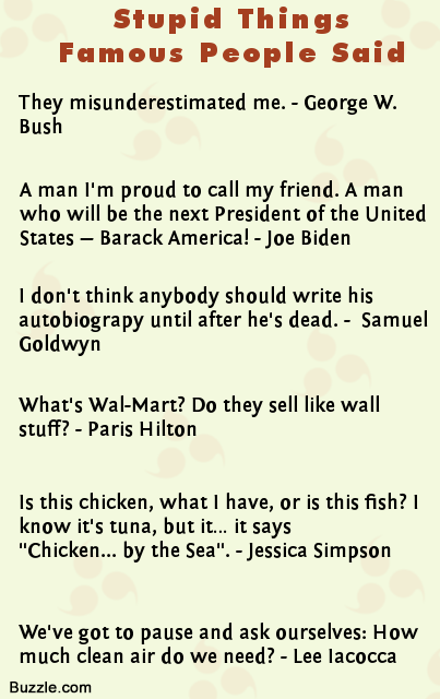 Stupid Funny Quotes And Sayings. QuotesGram Stupid Funny Quotes And Sayings. QuotesGram