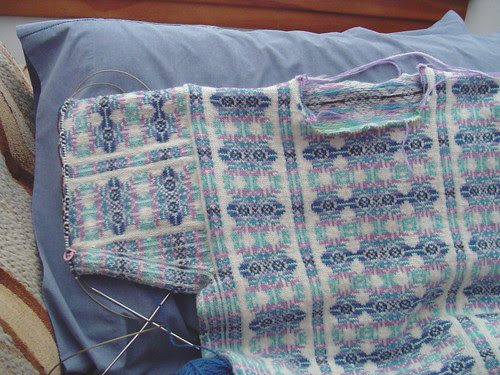 VS sleeve 1