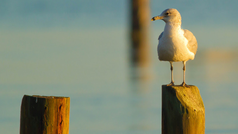 Photo & Video Sharing by SmugMug Photo & Video Sharing by SmugMug