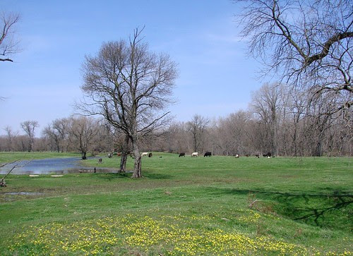 DSC01241