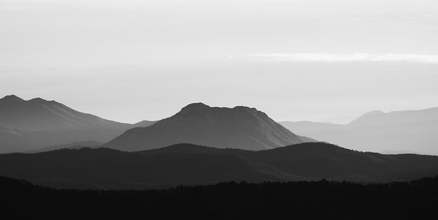 _DSC0118