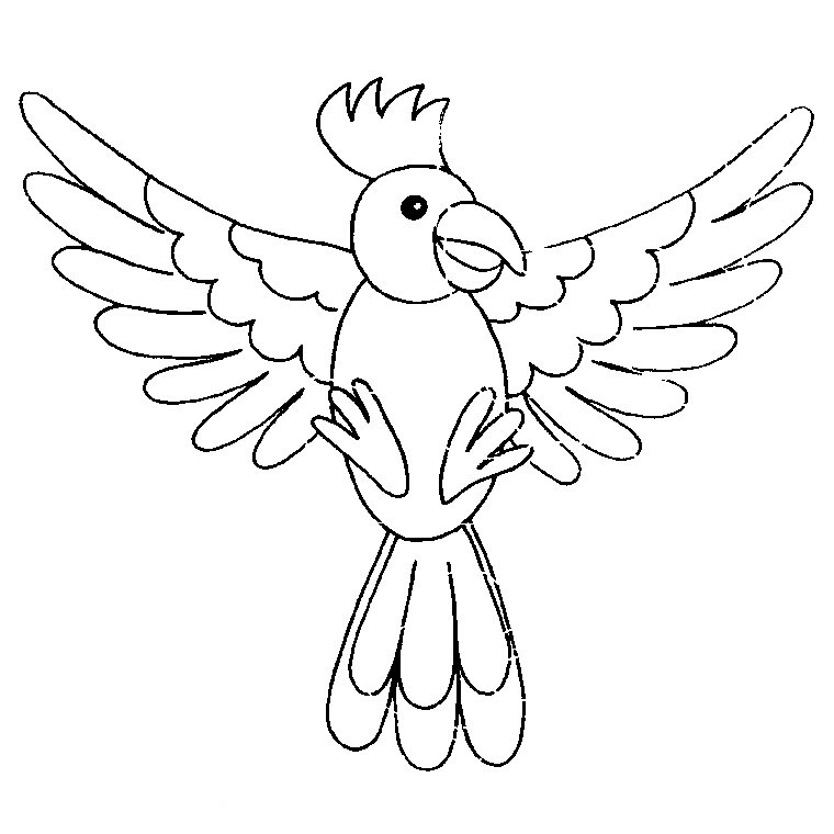 Coloriage Oiseau Qui Vole Coloriage Ideas
