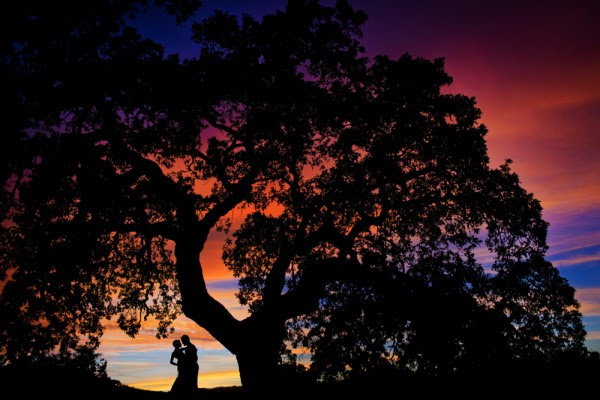 Sonoma wedding chrisman studios