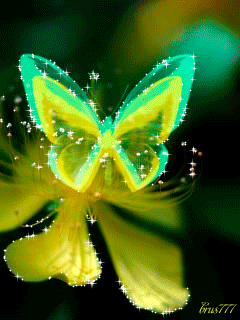 Прекрасная бабочка