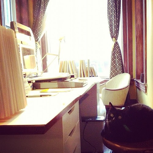 This afternoon I acquired an assistant in my printmaking studio.