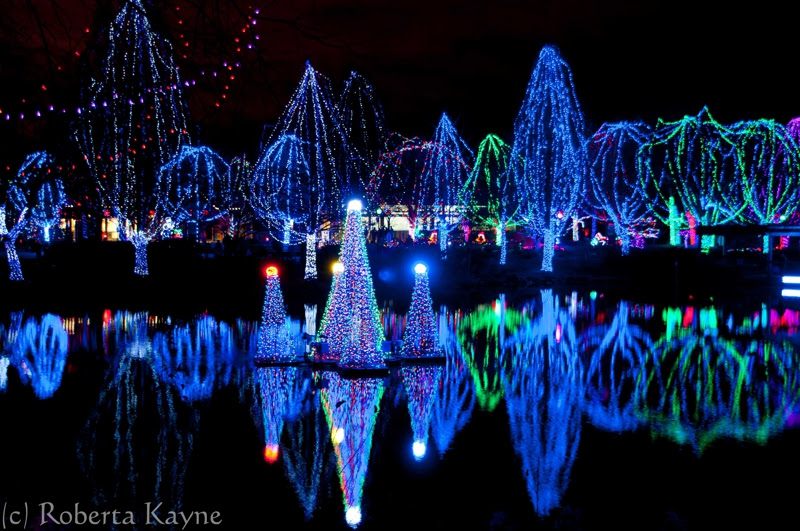 Columbus Zoo Christmas Lights Cost hoodydesign