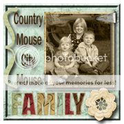Country Mouse City Mouse