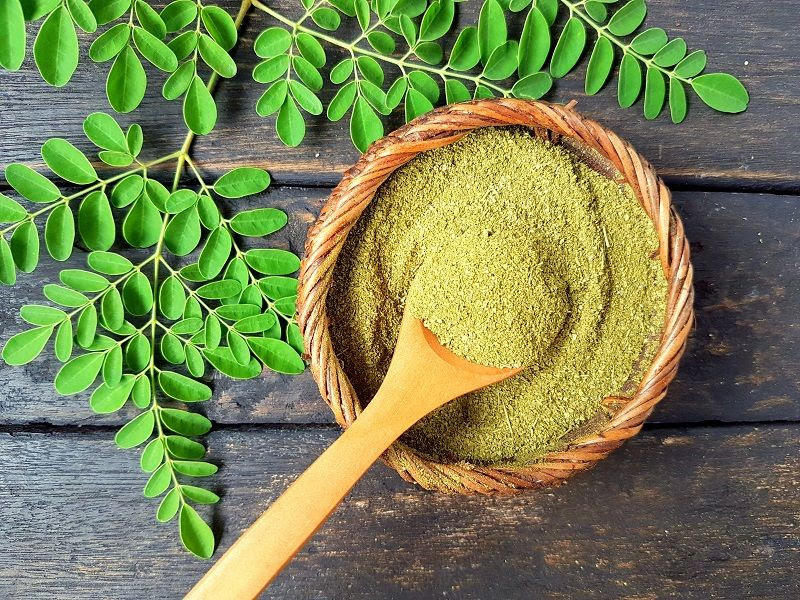 moringa2