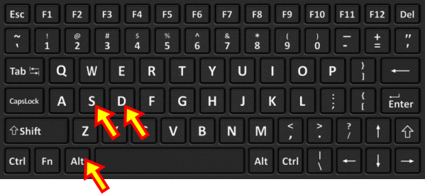 Alt_D_S