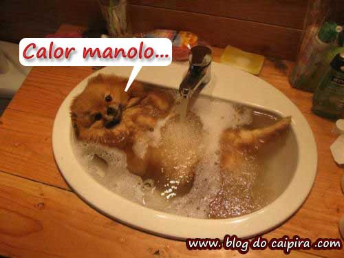 refrescando do calor piscina em casa