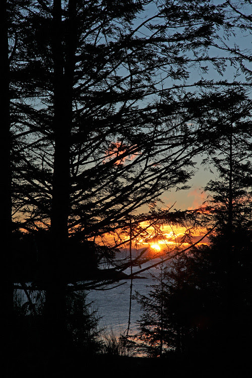 sunrise through trees, Kasaan, Alaska