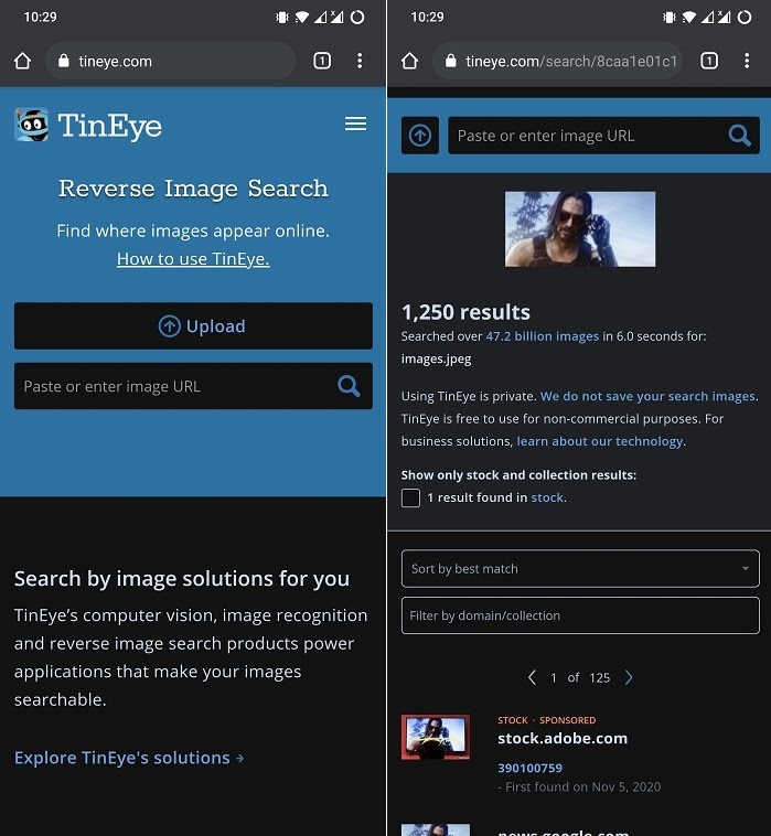 Tineye reverse image search