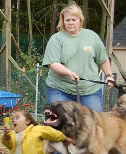 dog & kid