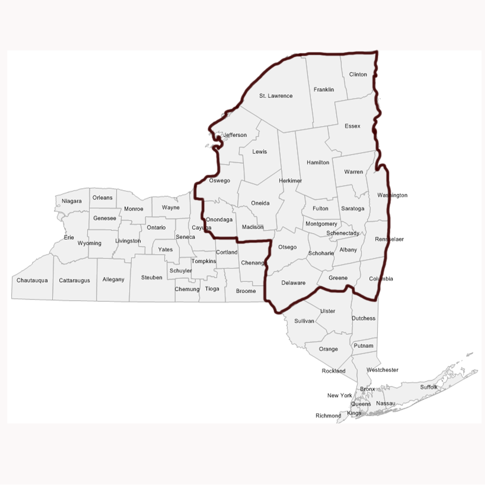 Map Of Upstate New York Counties Cities And Towns Map
