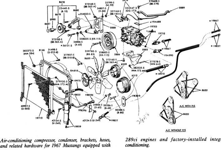 Ford 302 Engine Diagram - Fuse & Wiring Diagram