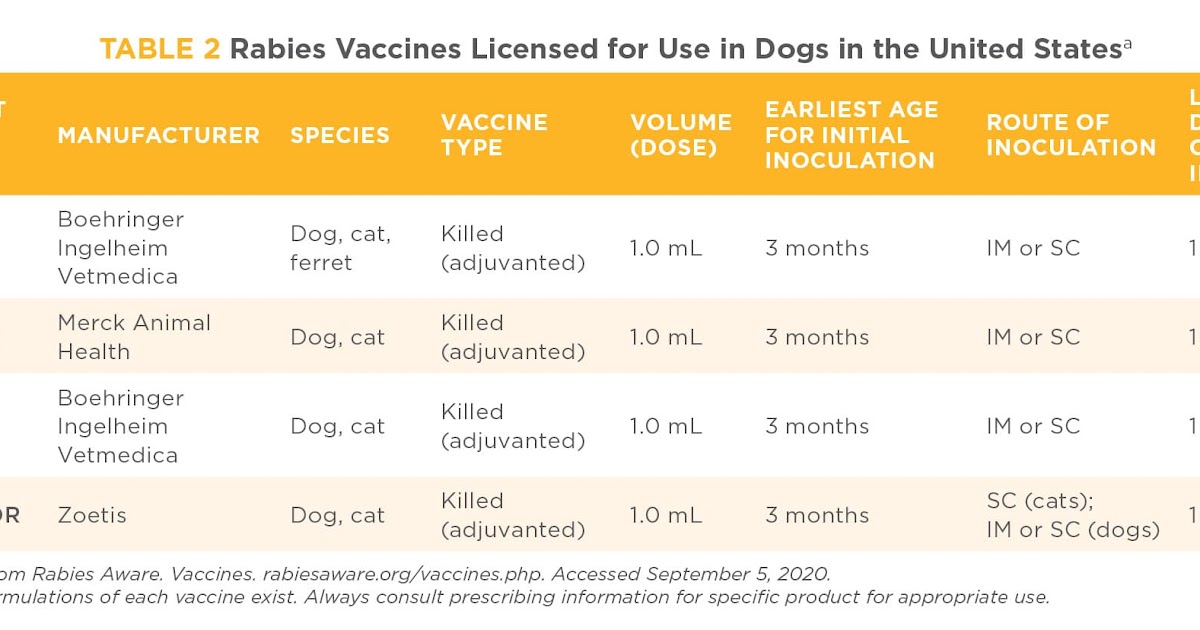 Guidelines For Rabies Vaccine For Dogs - NEVACIE