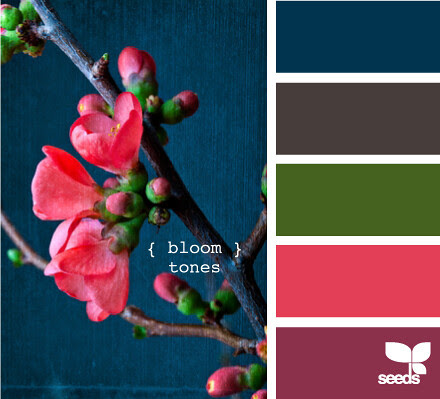 Bloom Tones from Design Seeds