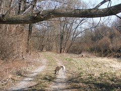 P3210217