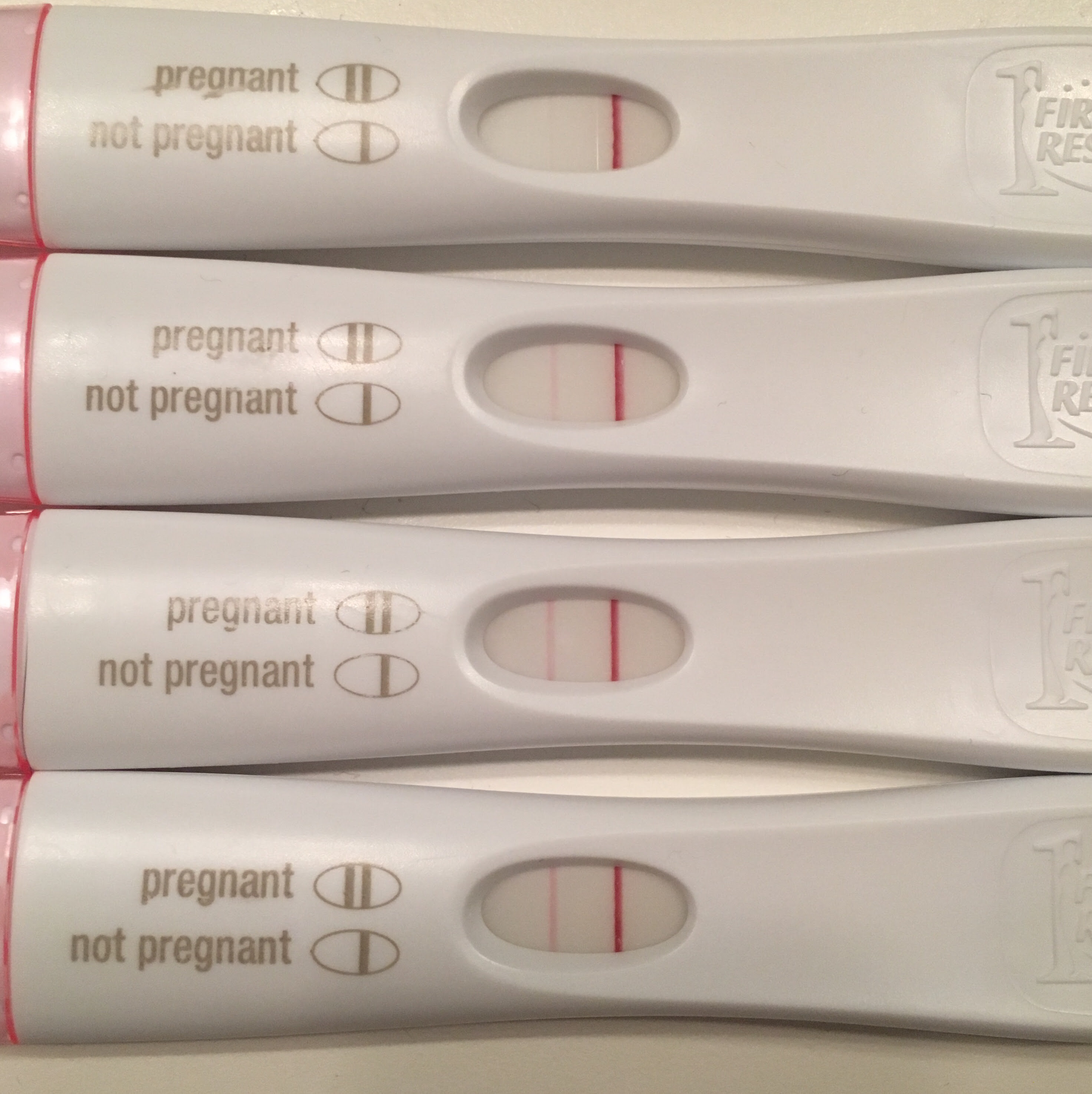 how does a pregnancy test strip work to show a positive result gcse