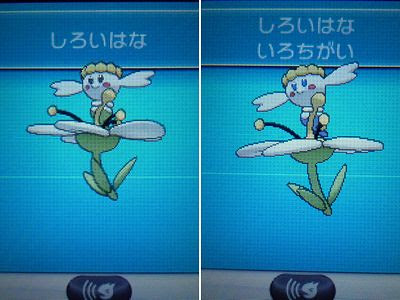 異なる画像のコレクション ぜいたく ポケモン Xy フラベベ 色 違い