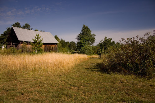 The Older Barn 2