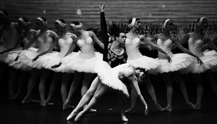 múa ballet, nhà hát Nga, kiệt tác ballet Hồ Thiên Nga,