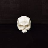 DMS × alto's "Skelevex Mechadeath (DIY or Die Edition)" resin skull to be released tomorrow!