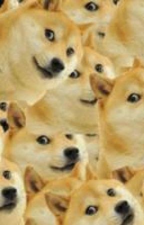 doge robux 400m simulator