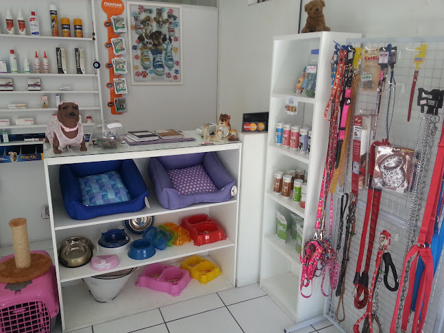 Urgevet Animal Care - Porto Alegre