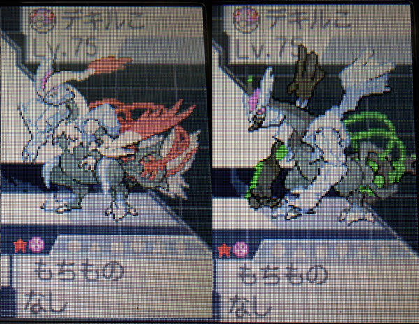 100 Epic Bestポケモン Bw2 キュレム 育成論 ディズニー画像のすべて