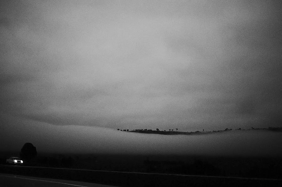 _DSC5008