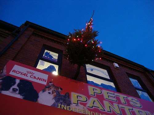 Stockton Heath Christmas flag
