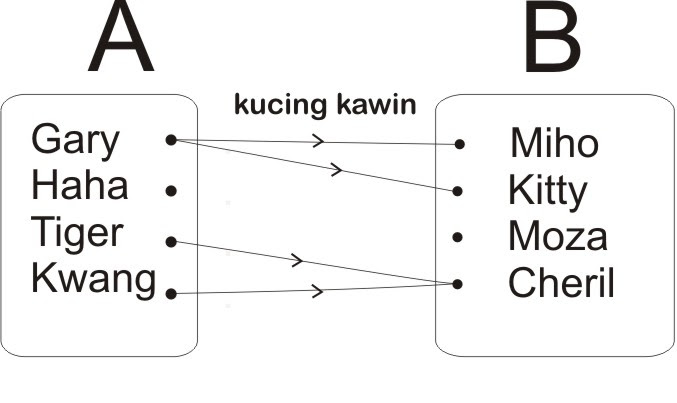 Contoh Soal Domain Dan Range Suatu Fungsi Dapatkan Contoh