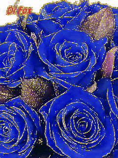 Синие розы.
