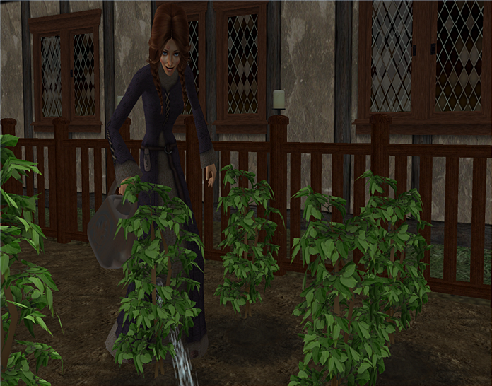 photo Osa37a001_zps3b24f13b.png