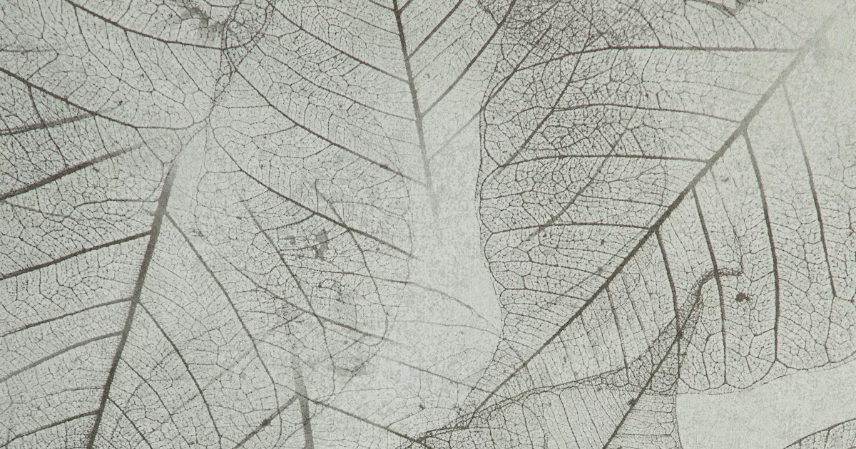 Black And White Leaf Wallpaper - Zendha