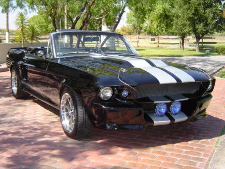 Classic Muscle Cars For Sale South Africa - car modification galery