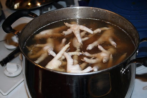 Chicken feet in water