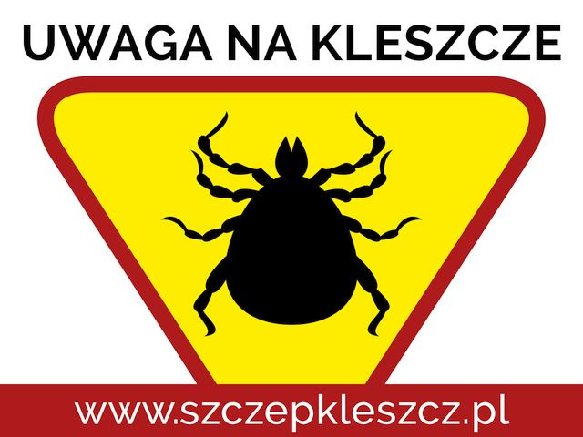 kleszcze kleszcze