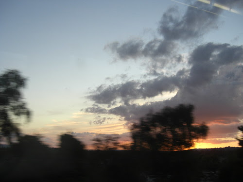 Cloud-bush7