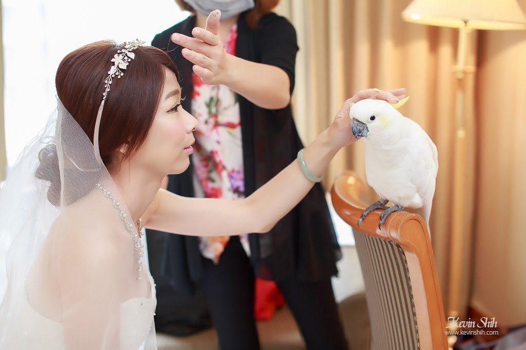 桃園婚攝推薦-戶政-登記結婚