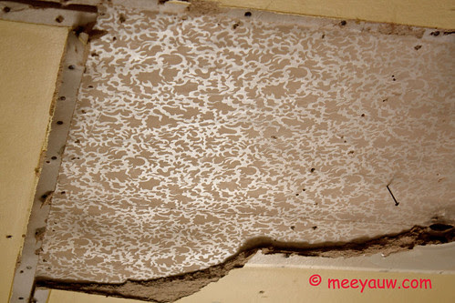 Kitchen Renovations (ceiling) 001.jpg