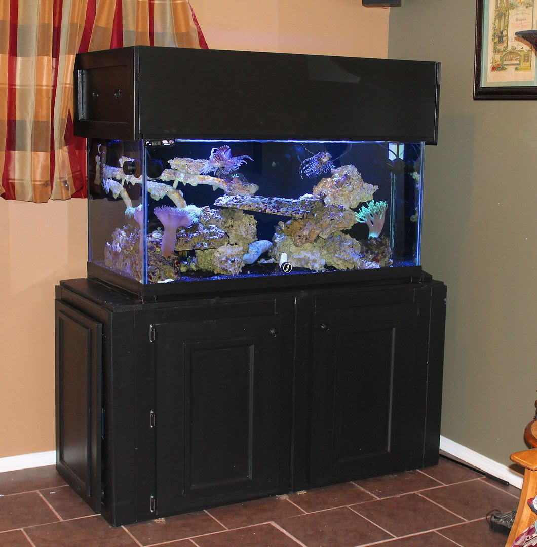 Fish Tank Cabinets Homdesigns
