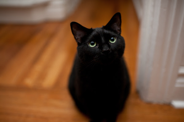 big boy eyes