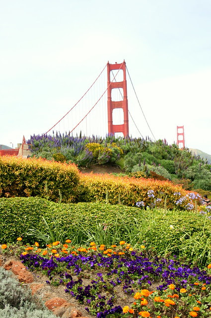 Flowers and Bridge