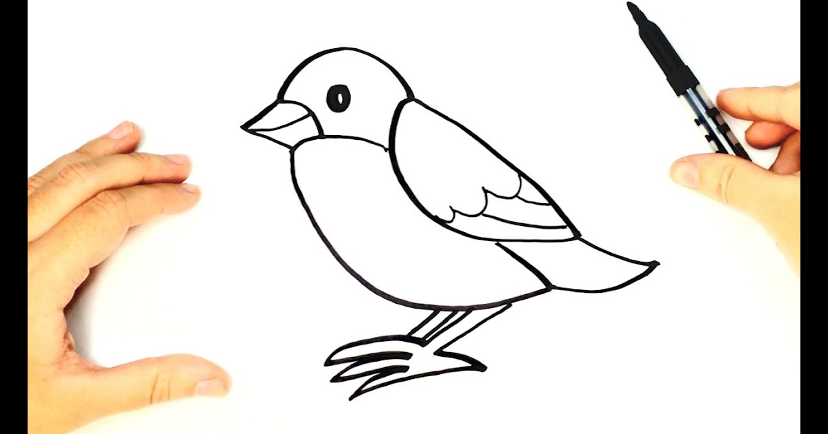 Dibujos De Animales Vertebrados Para Colorear Faciles | Colorear dibujos