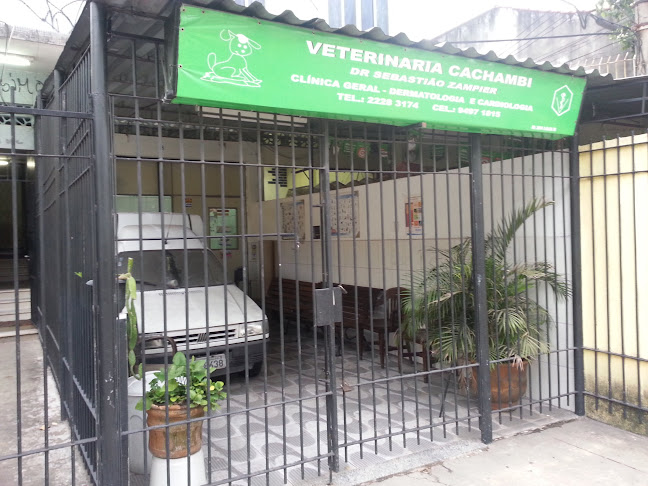 Veterinária Cachambi - Veterinário