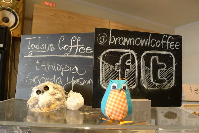 brown owl coffee