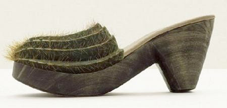 Cactus Shoes Cactus Shoes